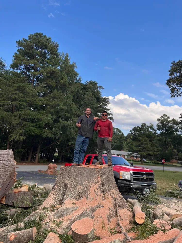 Ricky's Tree Services